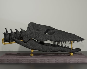 Plesiosaurus-Schädel, handgefertigte Dinosaurier-Skulptur, 30 cm, 50 cm, mit vielen Details. Fossile Reproduktion