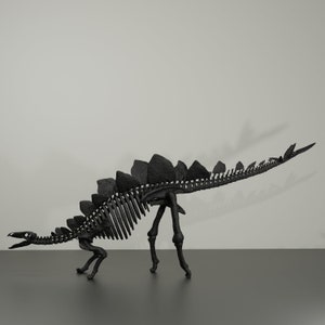 Stegosaurus-Skelett, handgefertigte Dinosaurier-Skulptur, 50 cm, mit vielen Details. Fossile Reproduktion Bild 5