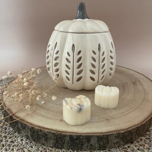 Peut inclure: Un chauffe-cire en céramique blanc en forme de citrouille avec une tige grise et des découpes en forme de feuilles. Deux fondants parfumés, un en forme de cœur et un festonné, sont posés sur une tranche de bois. Pour l'aromathérapie.