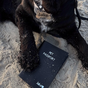 Personalized Black Leather Pet Passport Holder – Travel Dog Passport Wallet, Custom Dog Travel Document, Gift for Pet Lovers, 11x16 cm