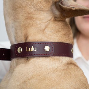 Luxury Leather French Bulldog Collar, Personalized Pet Leather Collar, Solid Dog Collar, made in EU