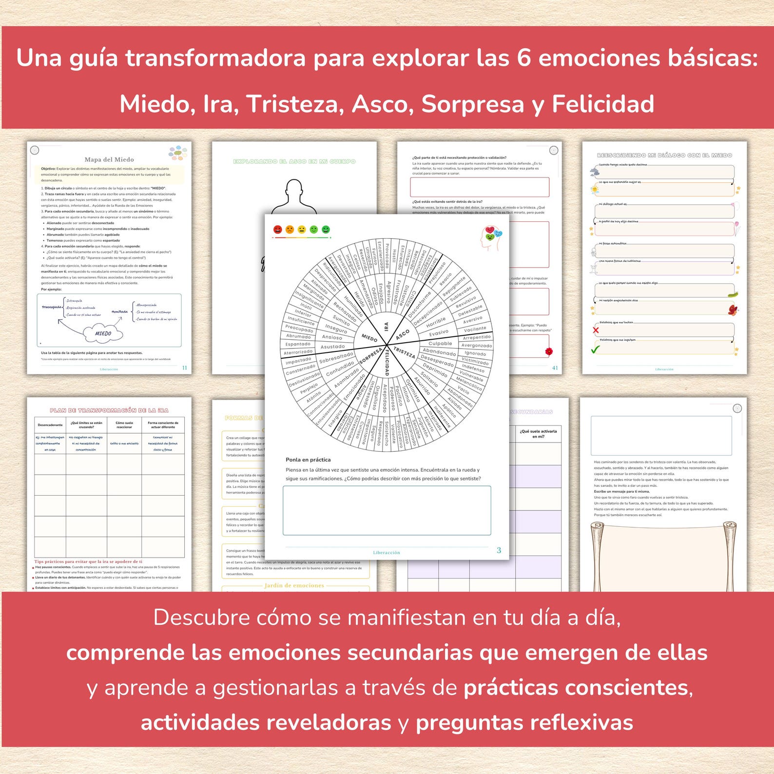 Rueda de las emociones en español | Cuaderno de terapia emocional ...