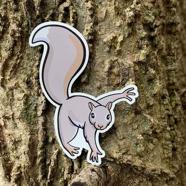 Pesky Squirrel Magnet 3 x 3 inch