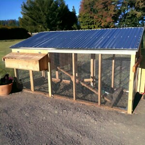 May include: A wooden chicken coop with a blue metal roof and a wire mesh enclosure. The coop has a nesting box and a ramp for the chickens to access the coop.