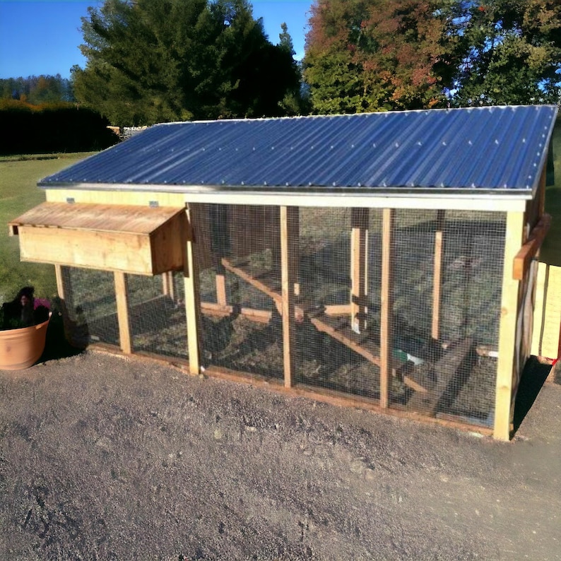 May include: A wooden chicken coop with a blue metal roof and a wire mesh enclosure. The coop has a nesting box and a ramp for the chickens to access the coop.