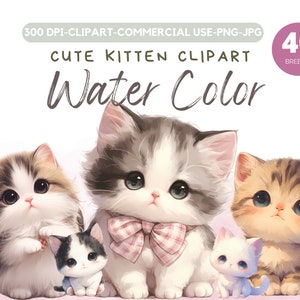 Niedliche Katzen Kätzchen Clipart | 40 PNG Niedliche kätzchen Katze PNG Perfekt für Kartenherstellung, Druck, digitales Papierfertigkeit - Transparent - Kommerzielle Nutzung