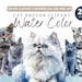 Watercolor Cat Breeds Clipart …