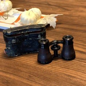 May include: Antique opera glasses with a black and brown finish, resting on a wooden surface. The glasses are next to a worn, black leather case. Decorative gourds and fall foliage are in the background.