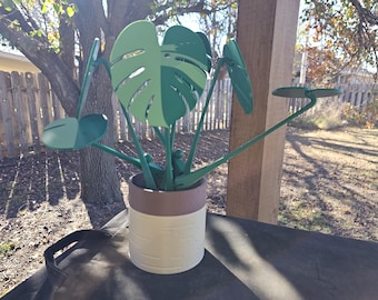 Monstera Plant Coaster Set