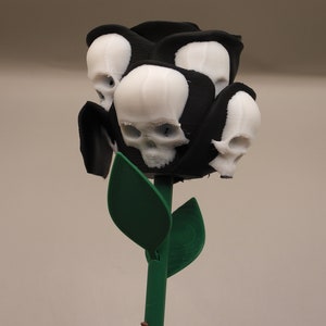 May include: A black rose with white skull heads, a green stem and leaves.