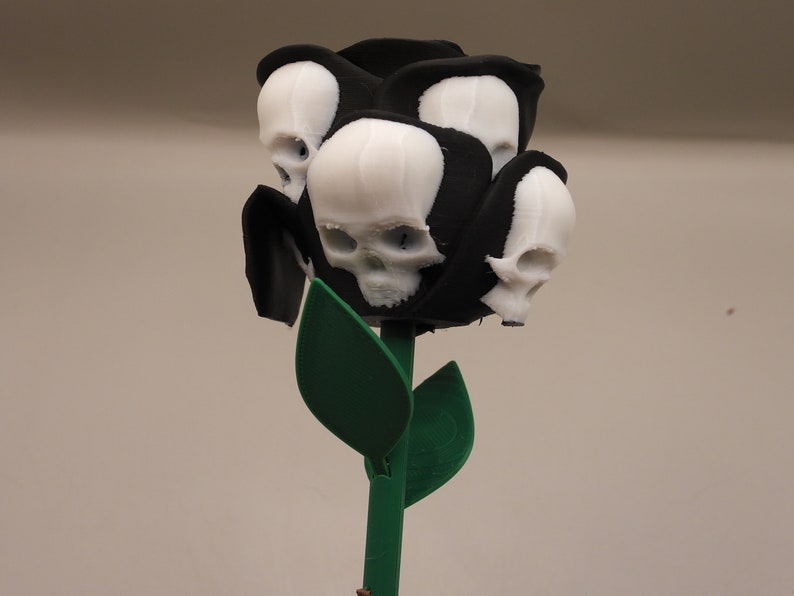 May include: A black rose with white skull heads, a green stem and leaves.