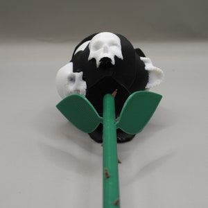 May include: A black rose with white skulls on the petals and a green stem with leaves.