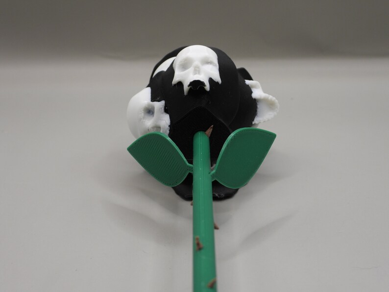 May include: A black rose with white skulls on the petals and a green stem with leaves.