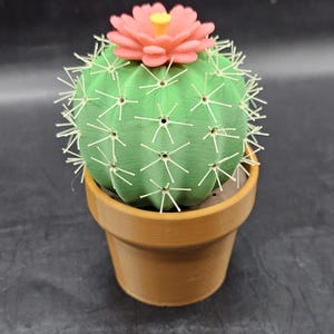Prickly Pair  Cactus Shaker Set
