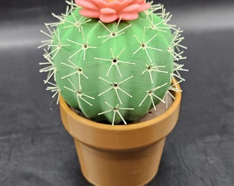 Prickly Pair  Cactus Shaker Set