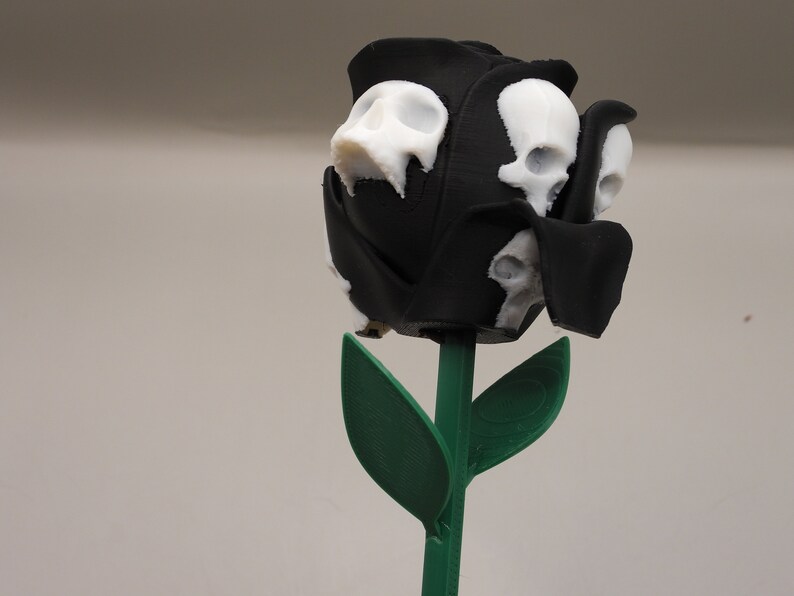 May include: A black rose with white skull details, the rose is on a green stem with two leaves.