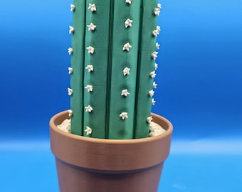 The Cactus Chess Set: A Desert Oasis of Strategy, Disguised!