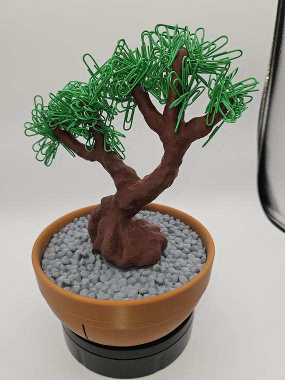 shop bonsai Juniper Bonsai Tree main image 1