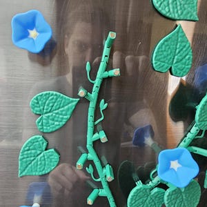 Morning Glory Magnet Set