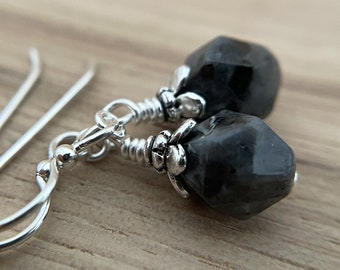 Sardonyx Earrings Silver Ear Wire