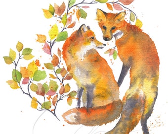 Sass & Class  - Art Print - Red Fox - Fall Colours - His and Hers - Vixey - Watercolour Wildlife Painting - Paper or Canvas - Olga Cuttell