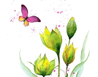 Spring Fragrance- Watercolor Art Print Yellow Wild Tulips Flowers Bouquet Romantic Butterfly Available in Paper and Canvas by Olga Cuttell