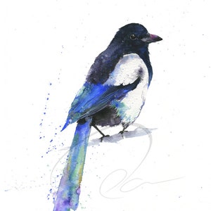 Magpie Print Watercolor Painting Prairie Wildlife Bird Lover Gift Birdwatcher Art Available in Paper & Canvas Olga Cuttell image 1