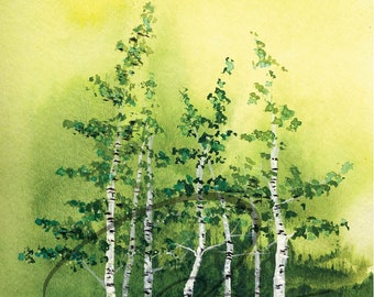 Tranquil Grove - Watercolor Art Print Birch Trees Green Forest Aspen Woods Landscape Painting Available in Paper and Canvas by Olga Cuttell