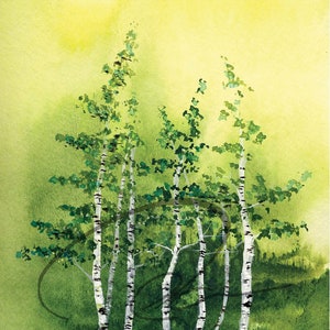 Tranquil Grove Watercolor Art Print Birch Trees Green Forest Aspen Woods Landscape Painting Available in Paper and Canvas by Olga Cuttell image 1