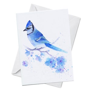Carte de voeux - SHIMMER - geai bleu perché sur des fleurs de cerisier bleu pommier geai stellaire félicitations anniversaire aquarelle art peinture
