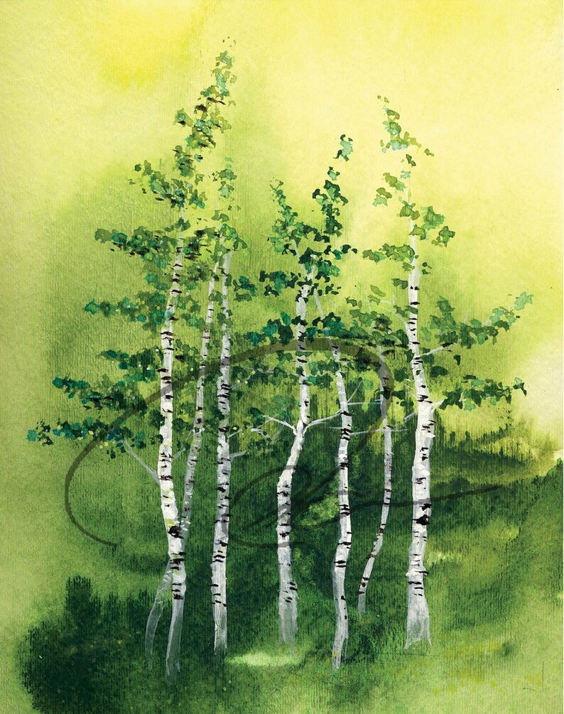 Tranquil Grove Watercolor Art Print Birch Trees Green Forest Aspen Woods Landscape Painting Available in Paper and Canvas by Olga Cuttell image 1