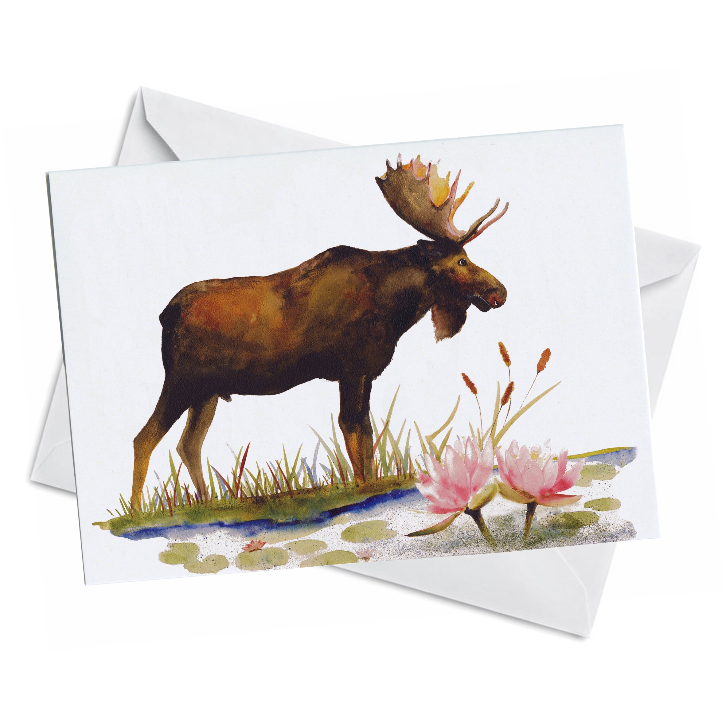 Greeting Card GENTLE GIANT Huge Male Moose Grazing in a Etsy Canada