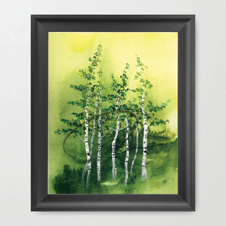 Tranquil Grove Watercolor Art Print Birch Trees Green Forest Aspen Woods Landscape Painting Available in Paper and Canvas by Olga Cuttell image 2