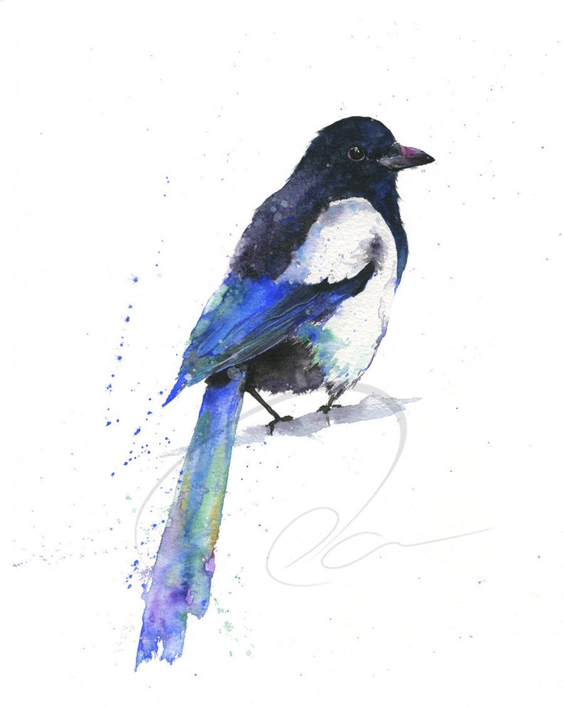 Magpie Print Watercolor Painting Prairie Wildlife Bird Lover Gift Birdwatcher Art Available in Paper & Canvas Olga Cuttell image 1