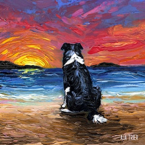 May include: A black and white border collie dog sits on a sandy beach, looking out at a colorful sunset over the ocean. The sky is a mix of orange, red, and purple.