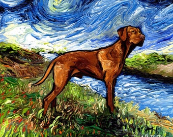 Vizsla on a River Bank Art Starry Night Art Print dog picture by Aja choose size and type of paper Wall Decor artwork