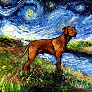 Vizsla on a River Bank Art Starry Night Art Print dog picture by Aja choose size and type of paper Wall Decor artwork