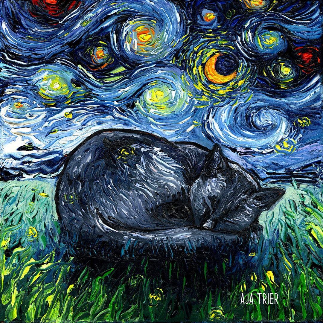 Sleeping Black Cat Art CANVAS Print Starry Night Ready to Hang
