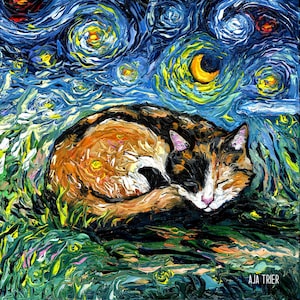 Sleeping Calico Cat Starry Night Art Print picture by Aja choose size, Photo Paper Watercolor Paper artwork home decor pet kitty moon