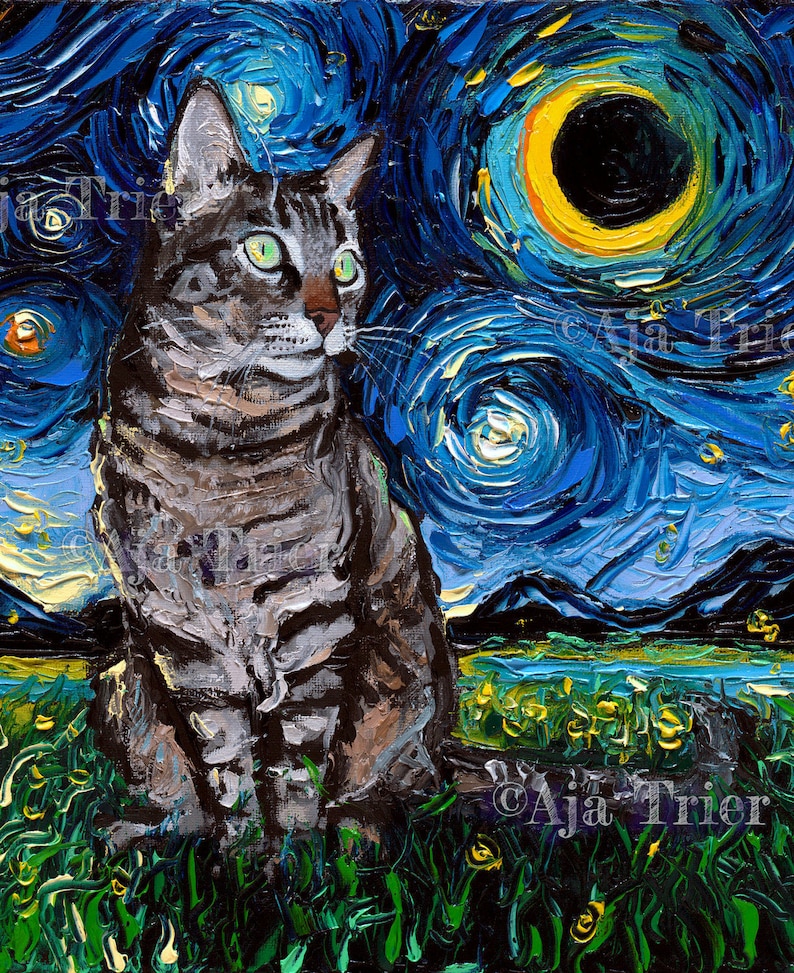 Cat Lover Gift Idea