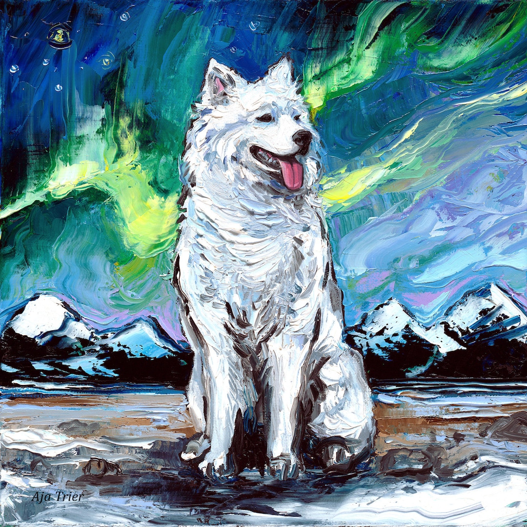Samoyed Dog Art Canvas Print: Starry Northern Lights Wall Decor - Etsy