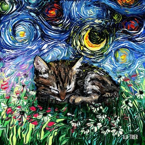 Tabby Kitten Art Canvas Print: Starry Night Cat Wall Decor