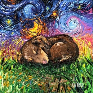 Sleeping Brown Dachshund Puppy Dog Starry Night Art Print picture by Aja choose size, Photo Paper Watercolor Paper artwork home decor