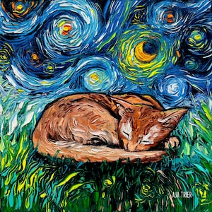 Sleeping Abyssinian Cat Art CANVAS print Starry Night Ready to Hang wall decor artwork display by Aja animal home kitty memorial