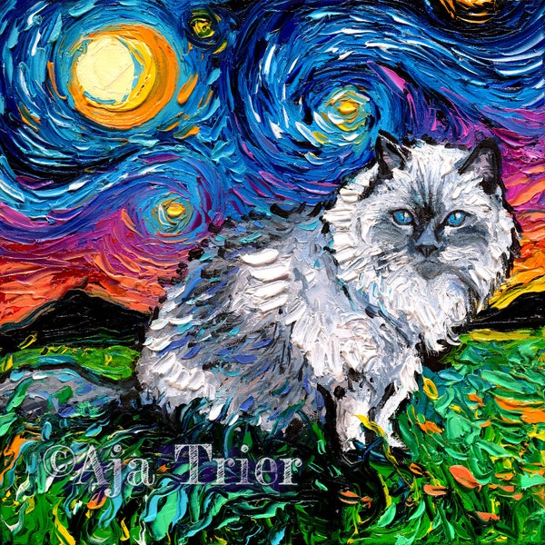 Ragdoll Cat Art Canvas Print, Starry Night Feline Wall Decor