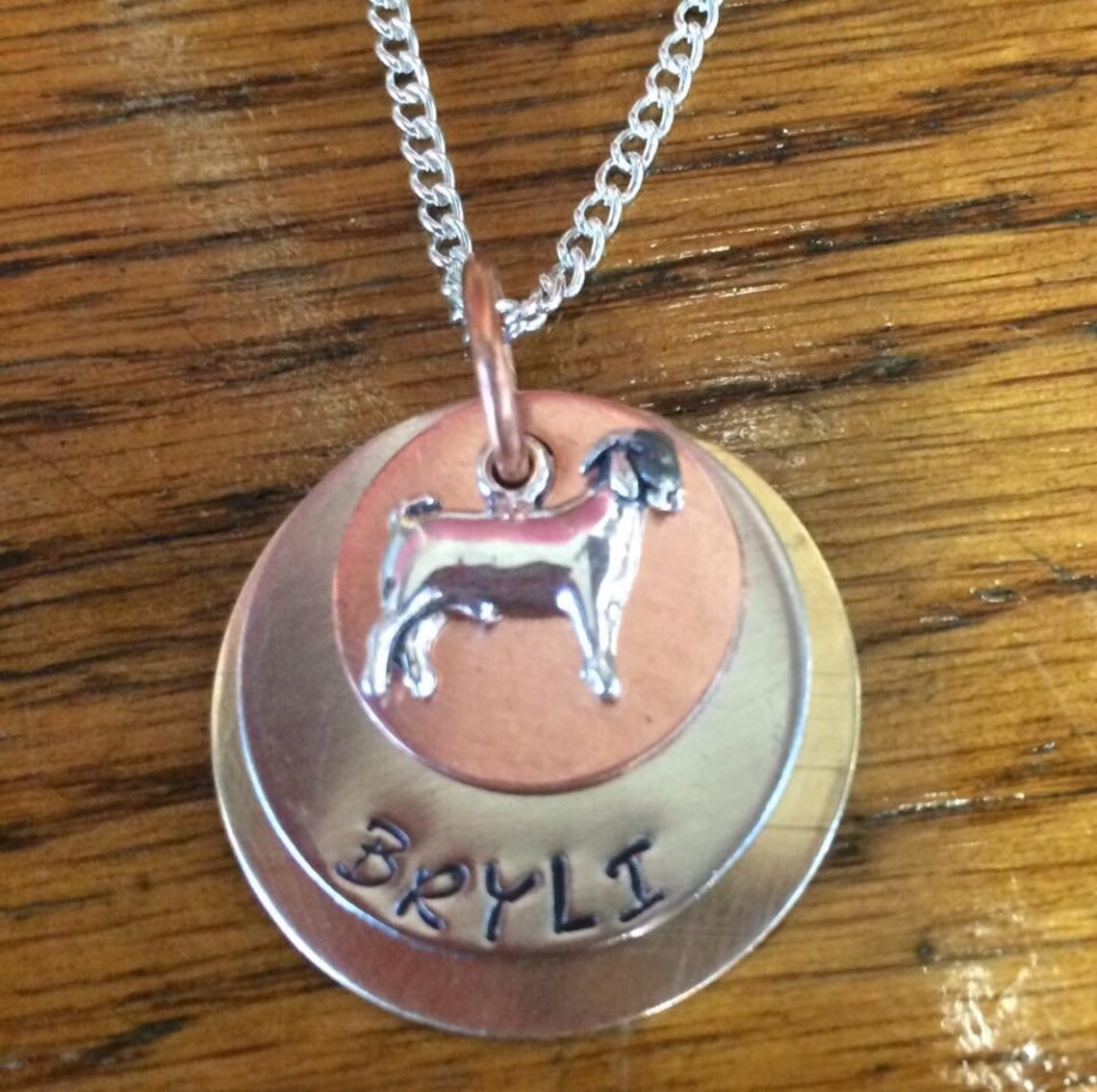 Stock Show & Farm Animal Name Necklaces With Adjustable Cord Etsy