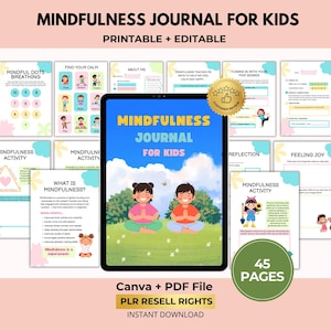 Mindfulness Journal for Kids, Feelings Regulation, Anger Worksheets, Daily Reflection, Canva + PDF, PLR Resell Rights