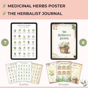 Pu&ograve; includere: Illustrazione digitale di un poster di erbe medicinali e di un diario. Il poster mostra varie erbe con i loro benefici per la salute. La copertina del diario presenta un cesto di fiori. Il testo recita "Medicinal Herbs Poster" e "The Herbalist's Journal".