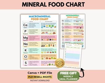 Tableau des aliments minéraux, feuille du tableau des micronutriments, liste de la valeur nutritive des aliments, Canva + PDF, droits de revente PLR
