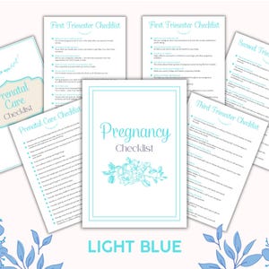 Pregnancy Checklist Planner with PLR Resell Rights, First Time Mom, Canva + PDF image 4
